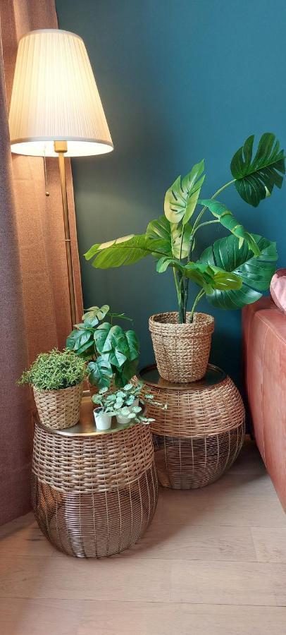 Bnb Antwerp - Boutique Экстерьер фото